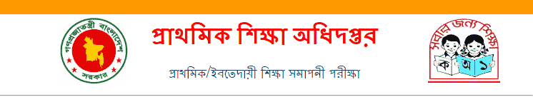 www.dpe.gov.bd result 2023