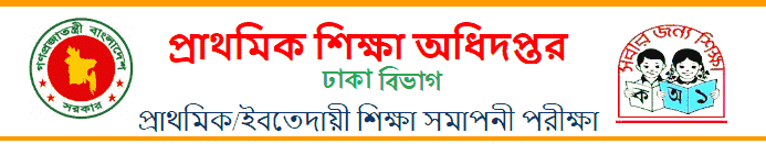 PSC Result 2024 Dhaka Board