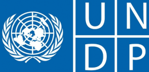 United Nations Development Programme (UNDP)