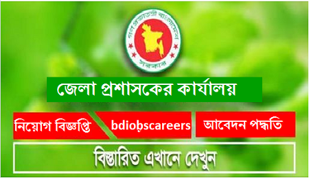 ZP Netrokona Job CircularZP Netrokona Job Circular