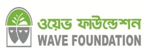 Wave Foundation Job 