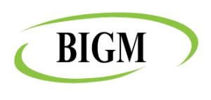 Bangladesh Institute of Governance and Management (BIGM) 